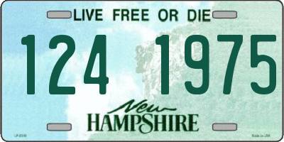 NH license plate 1241975