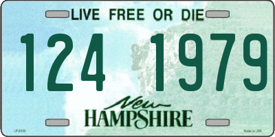 NH license plate 1241979