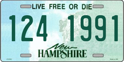 NH license plate 1241991