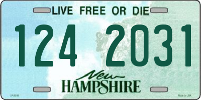 NH license plate 1242031
