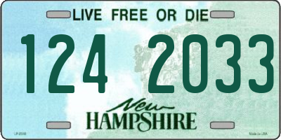 NH license plate 1242033