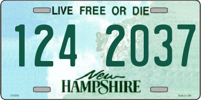 NH license plate 1242037