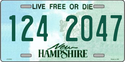 NH license plate 1242047