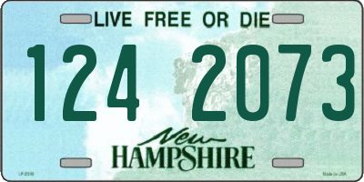 NH license plate 1242073