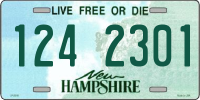 NH license plate 1242301