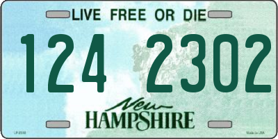 NH license plate 1242302
