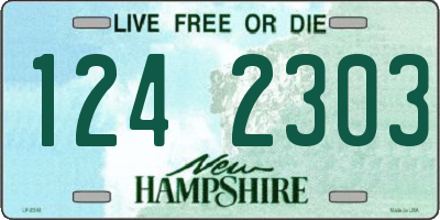 NH license plate 1242303
