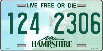 NH license plate 1242306