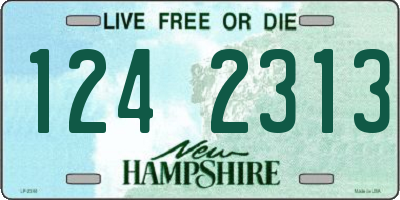 NH license plate 1242313
