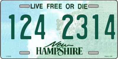 NH license plate 1242314