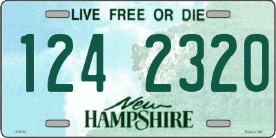 NH license plate 1242320