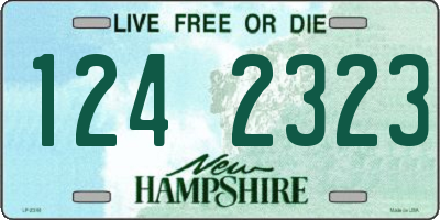 NH license plate 1242323