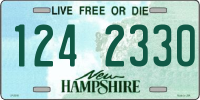 NH license plate 1242330