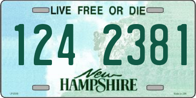 NH license plate 1242381