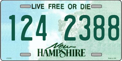 NH license plate 1242388