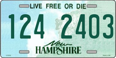 NH license plate 1242403