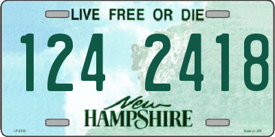 NH license plate 1242418