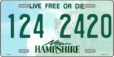 NH license plate 1242420