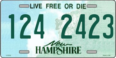 NH license plate 1242423
