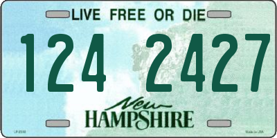 NH license plate 1242427