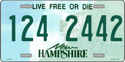 NH license plate 1242442