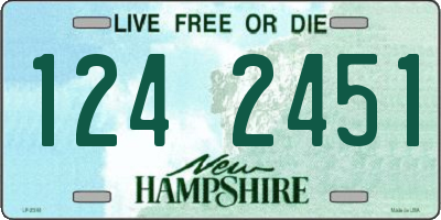 NH license plate 1242451