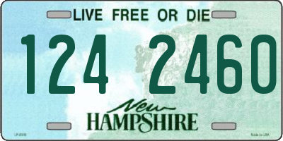 NH license plate 1242460