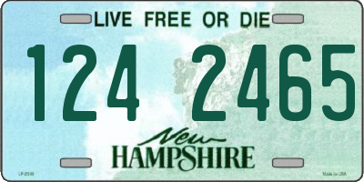 NH license plate 1242465