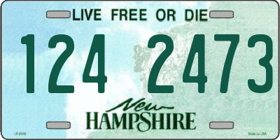 NH license plate 1242473