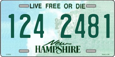 NH license plate 1242481