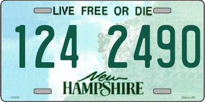 NH license plate 1242490