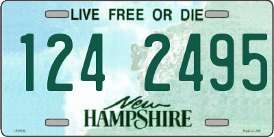 NH license plate 1242495