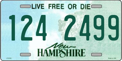 NH license plate 1242499