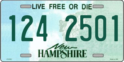 NH license plate 1242501