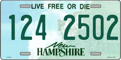 NH license plate 1242502