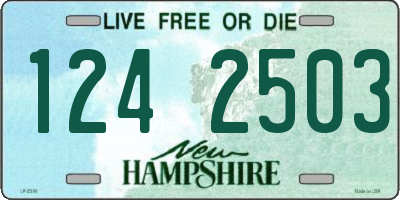 NH license plate 1242503