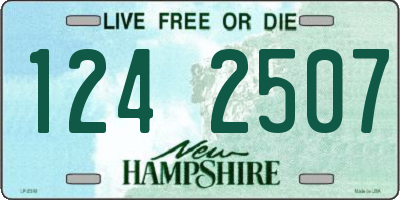 NH license plate 1242507