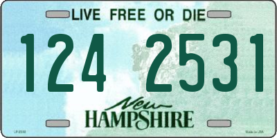 NH license plate 1242531