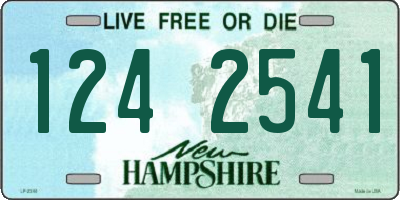 NH license plate 1242541