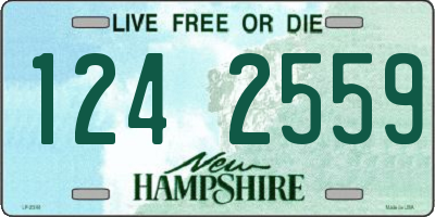 NH license plate 1242559