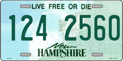 NH license plate 1242560
