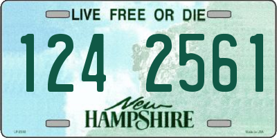 NH license plate 1242561
