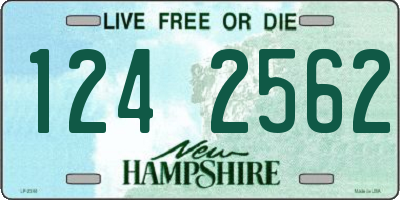 NH license plate 1242562
