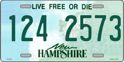 NH license plate 1242573