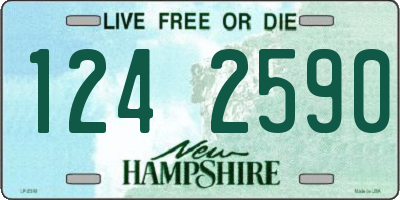 NH license plate 1242590