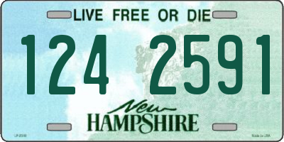 NH license plate 1242591