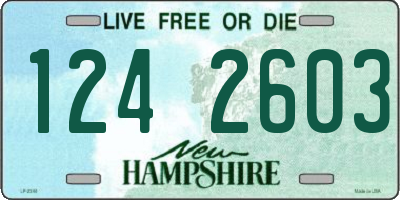 NH license plate 1242603