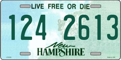 NH license plate 1242613