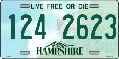 NH license plate 1242623