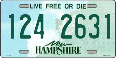 NH license plate 1242631